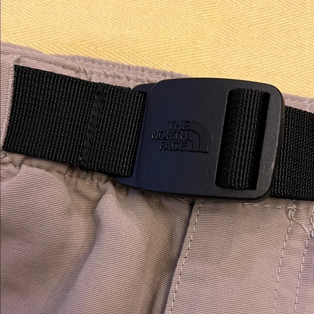 The North Face Men's Tan Cargo Shorts